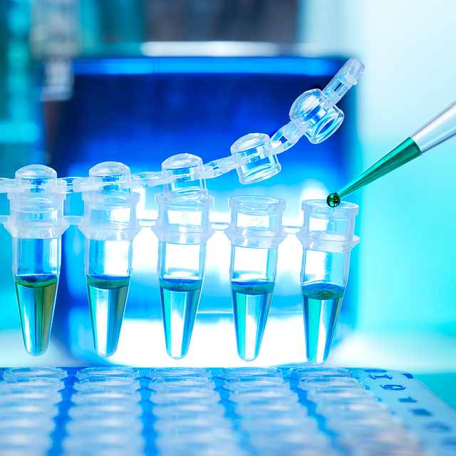 可調節(jié)型聚氨酯硬泡催化劑，靈活控制反應速度，適應不同工藝和設備