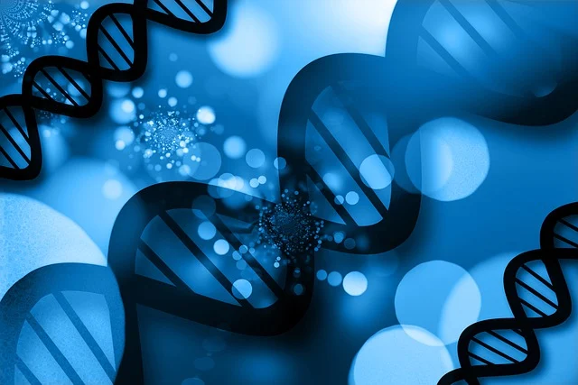 異辛酸汞/13302-00-6，在復(fù)雜配方中也能保持穩(wěn)定的催化性能，確保產(chǎn)品質(zhì)量